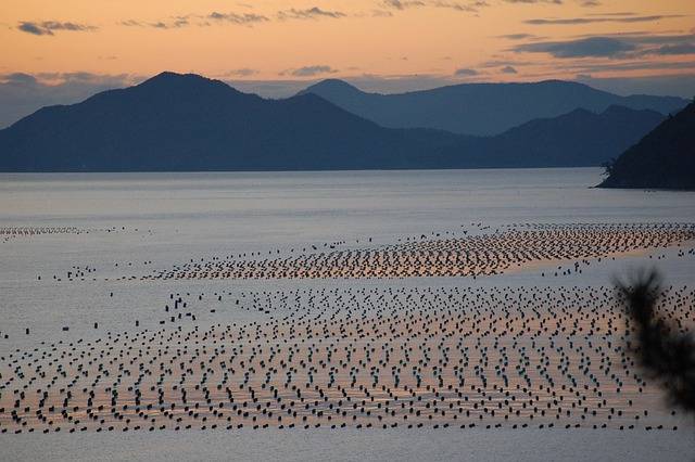 2025 숙박세일페스타 쿠폰 발급 쉽게 하는 법 다운 사이트