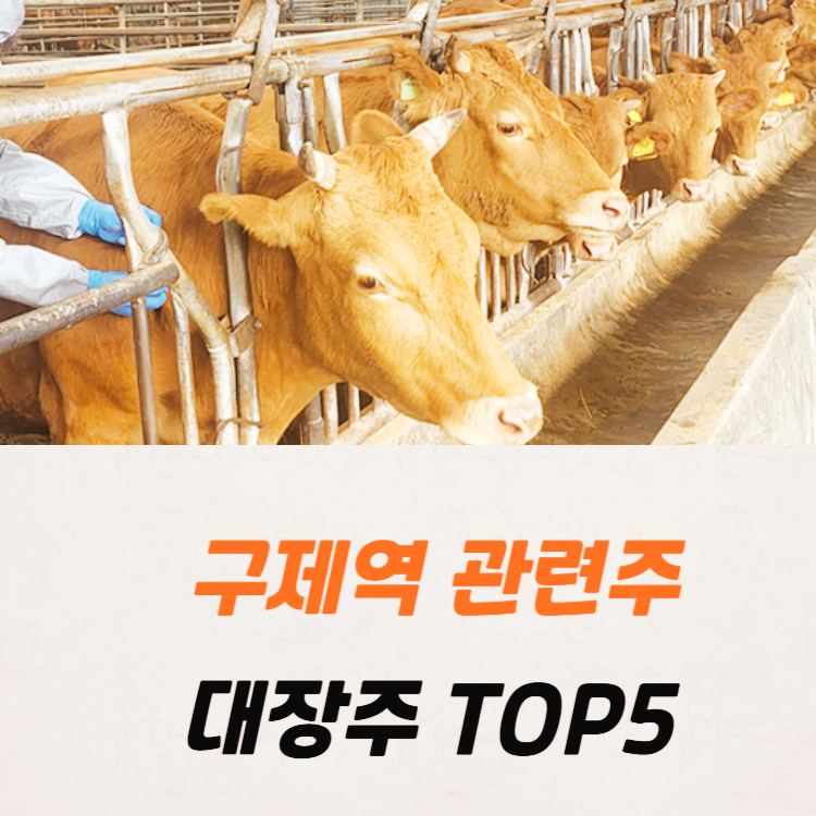 구제역 관련주 백신 대장주 테마주 TOP5