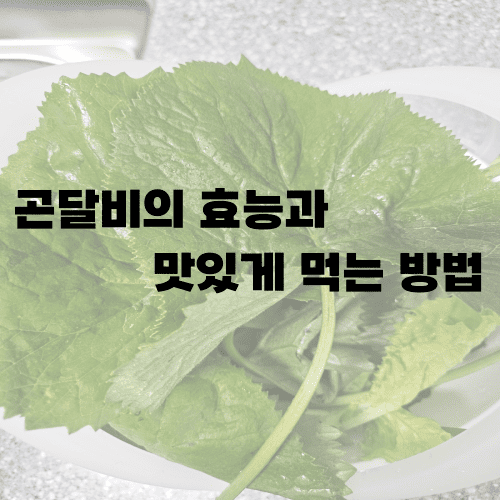 곤달비