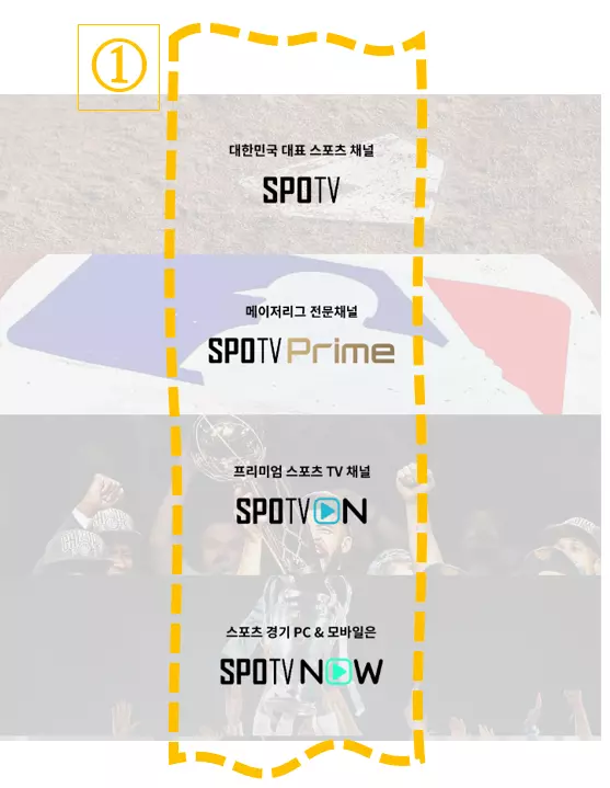 SPOTV 편성표-SPOTV 채널번호 / 스포티비 편성표-스포티비 채널번호