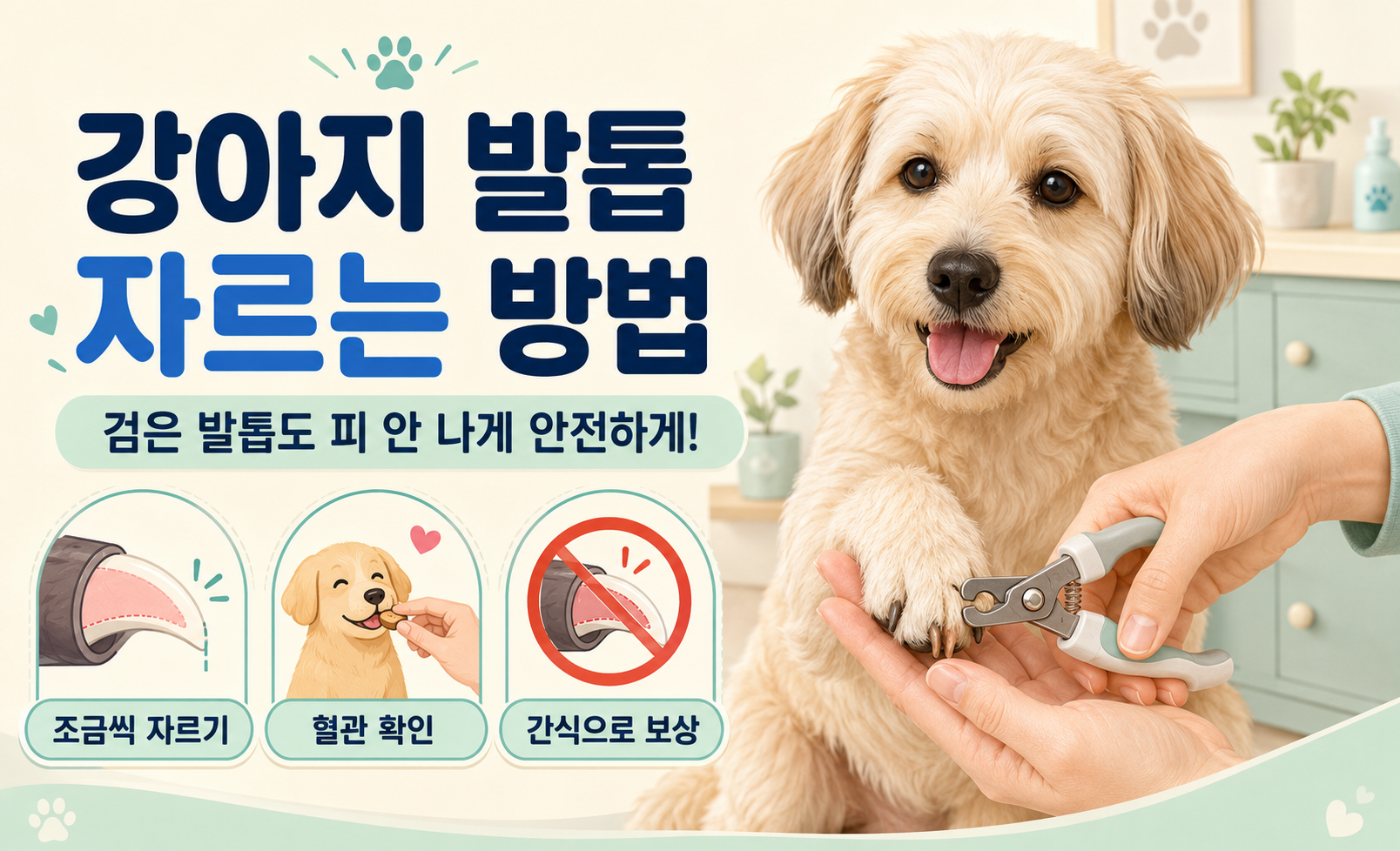 강아지 발톱 자르는 방법과 안전한 발톱 관리 대표 이미지