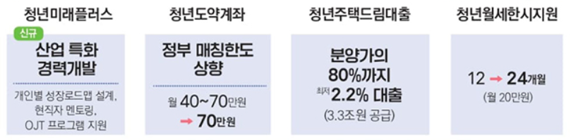 사회초년생