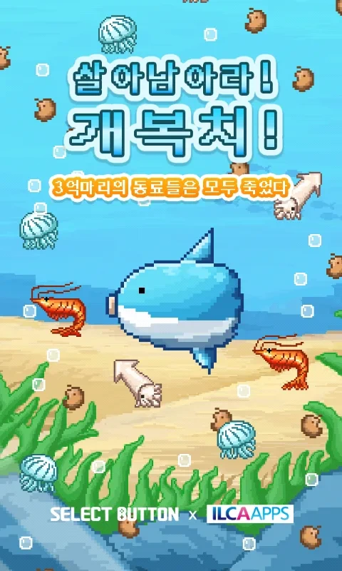 개복치 게임