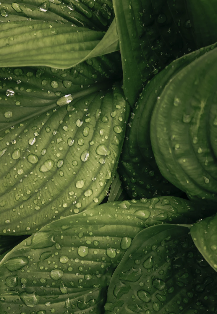 요실금수술후유증