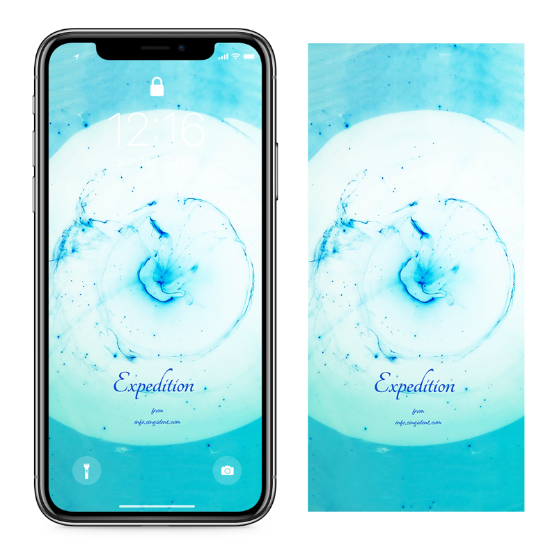 02 투명 해파리 C - Expedition 아이폰여름배경화면