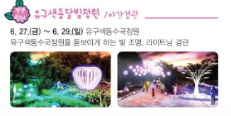 2025 유구색동수국정원 꽃 축제