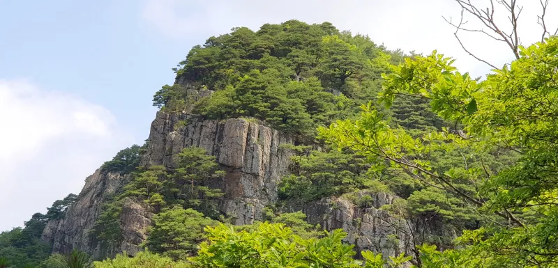 청도 복호산