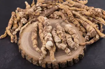 백수오 효능 및 영양성분&amp;#44; 주의점