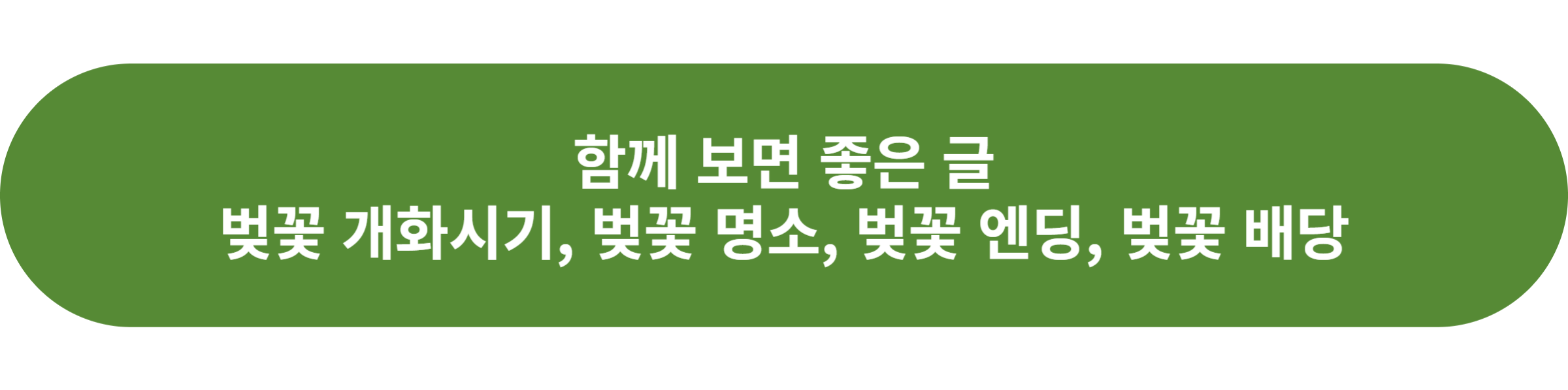 벚꽃