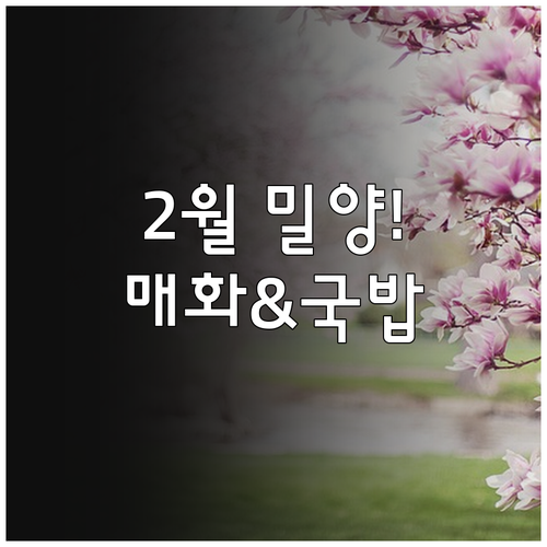 밀양 2월 여행 코스 금시당 매화부터..