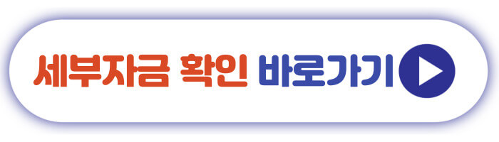 세부자금 확인 바로가기