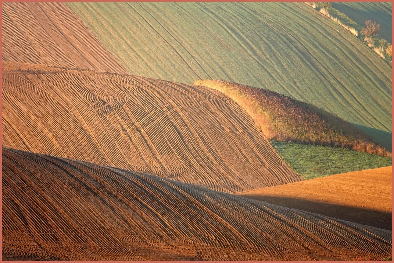 정기예금 금리 가장 높은곳