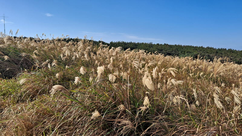 제주여행_마라도