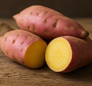 고구마 보관하는법