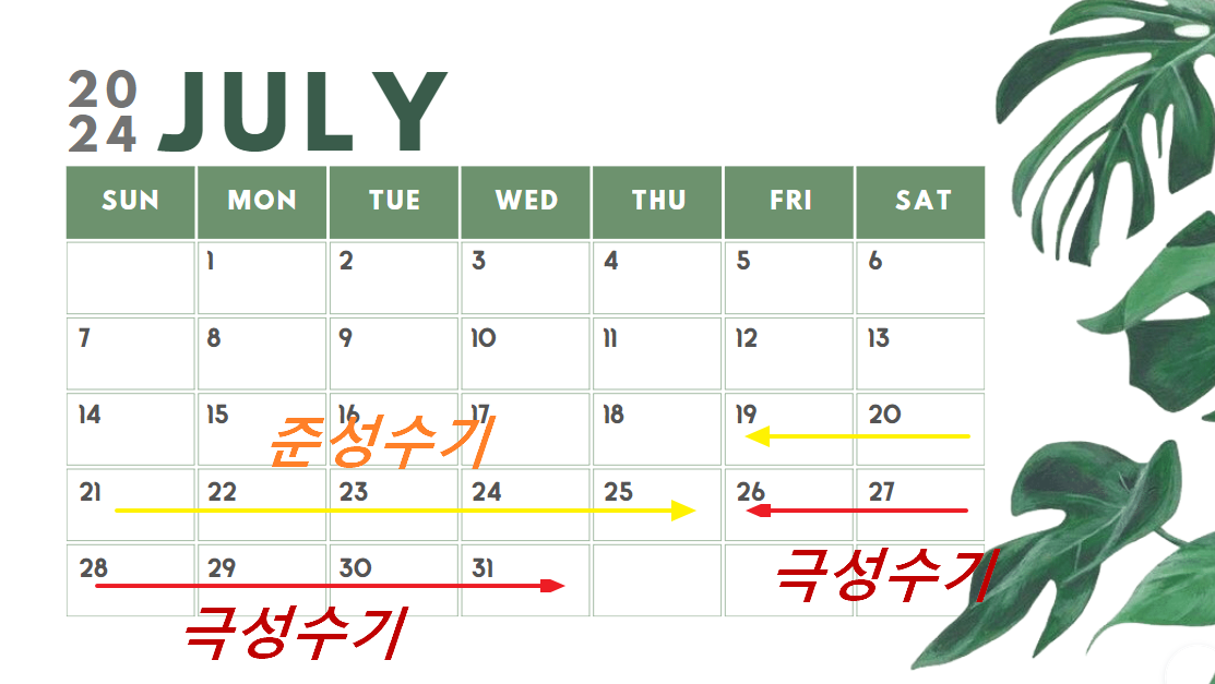 2024년 여름휴가 기간