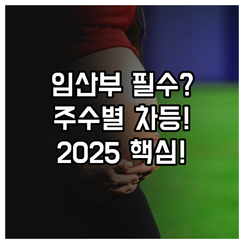 광주시 임산부 필수 영양제 주수별 차..