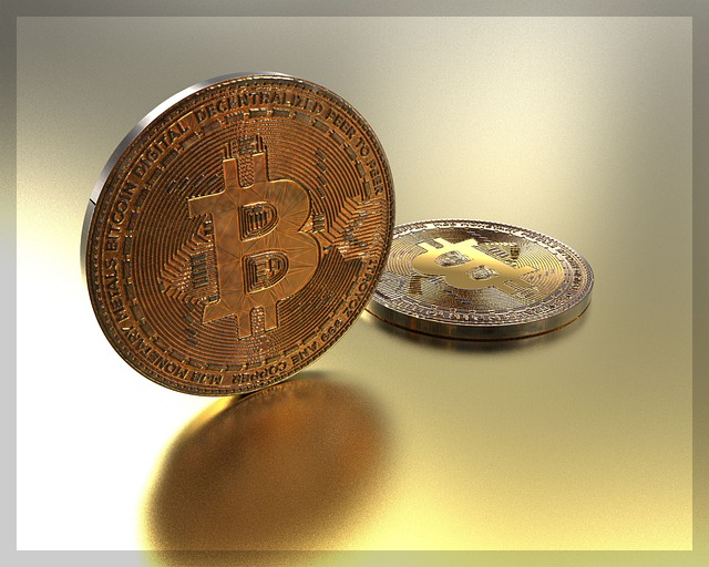 업비트 도지코인 시세 전망 최고가