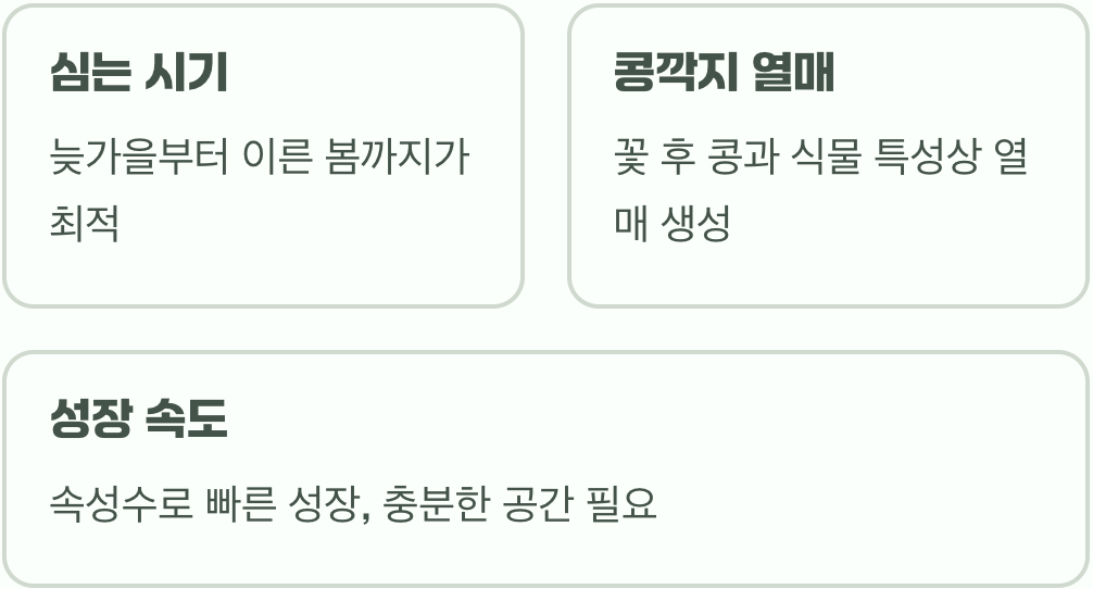 자귀나무 키우기 A to Z (묘목 심기부터 관리까지)