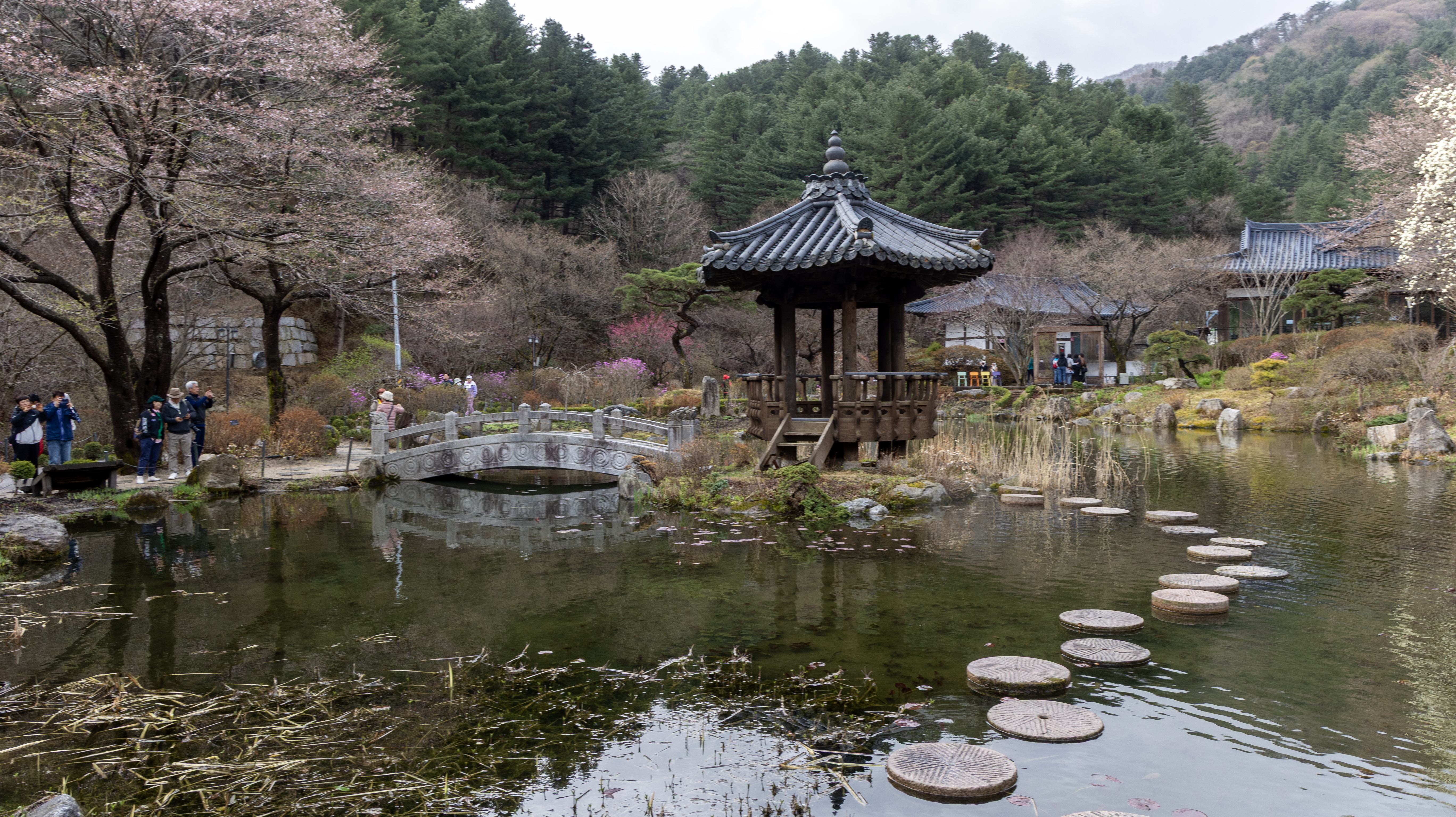 아침고요수목원 정자 연못 풍경