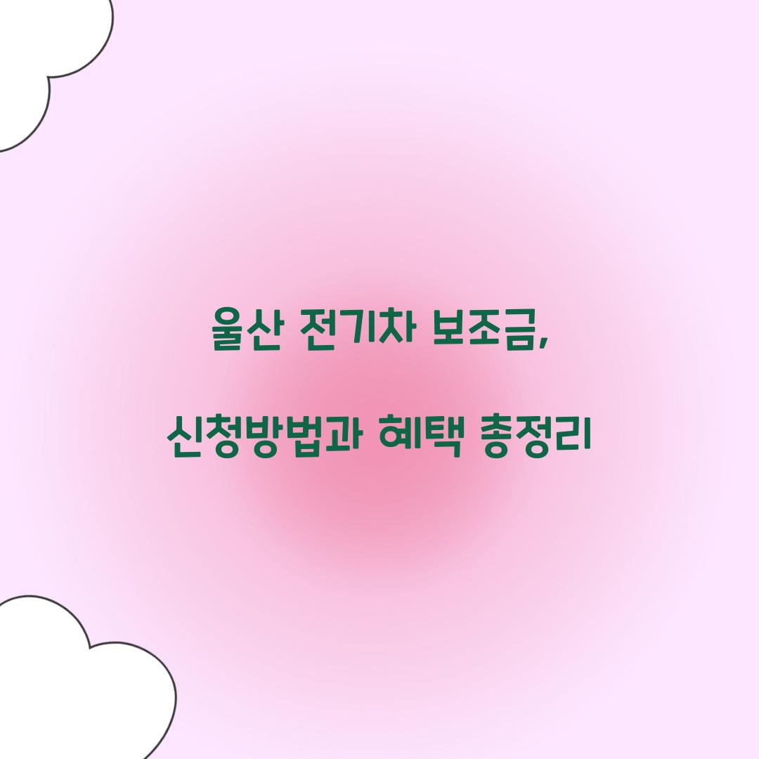 울산 전기차 보조금