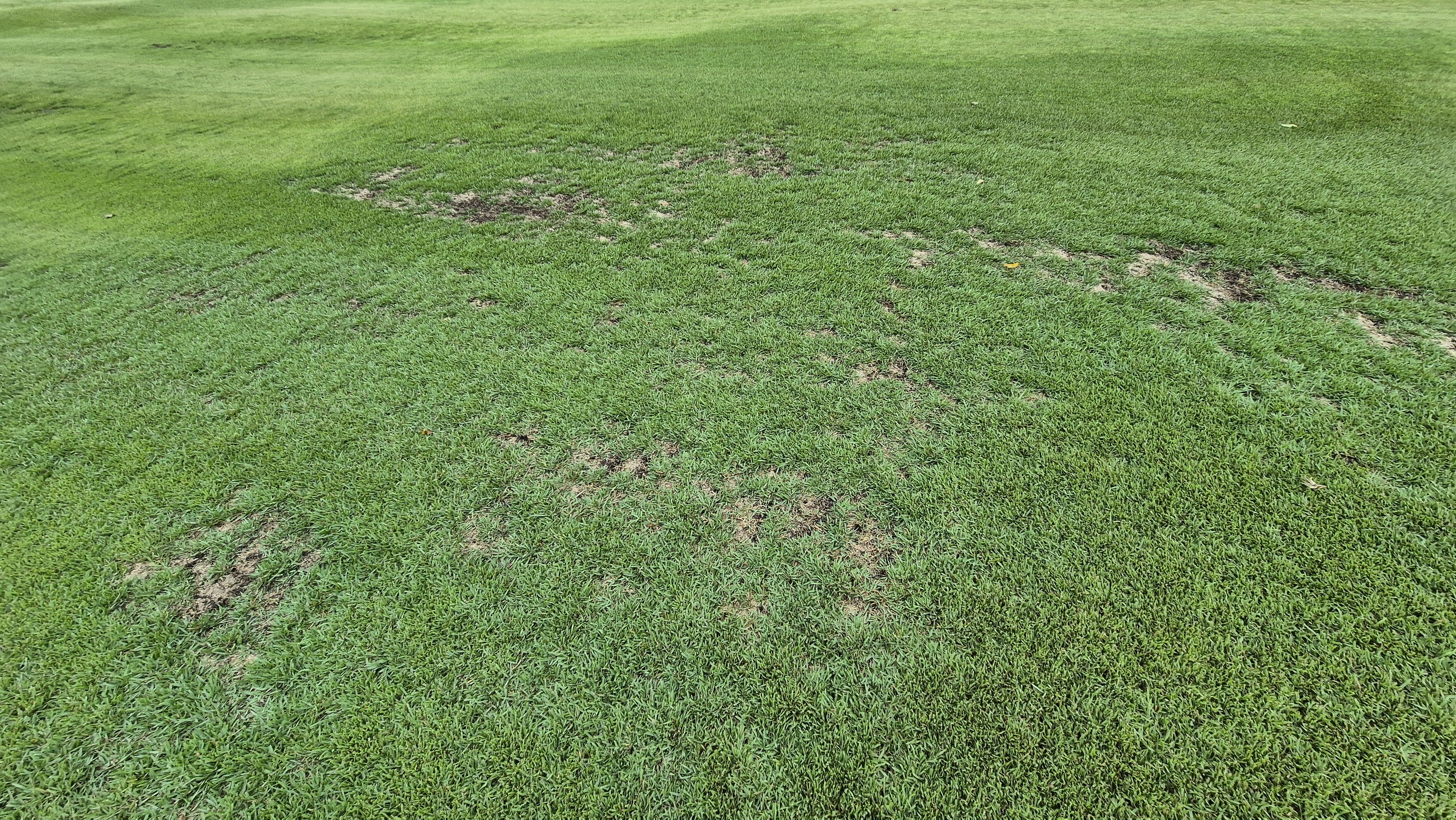 뉴서울cc 예술in-문화in 코스 라운드 후기