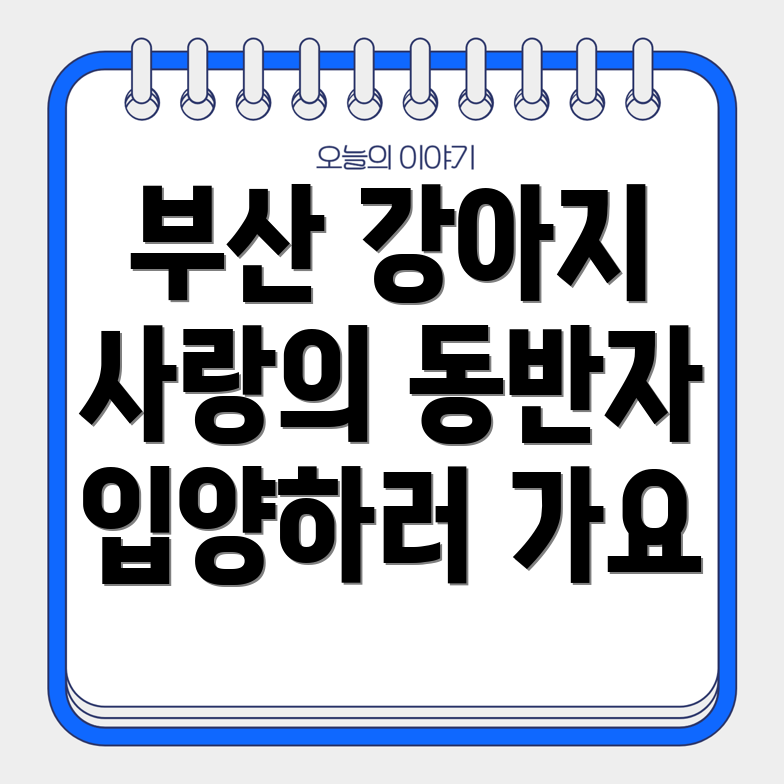 부산 강아지 입양