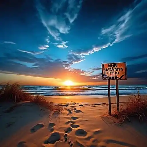 환급금 조회 홈택스