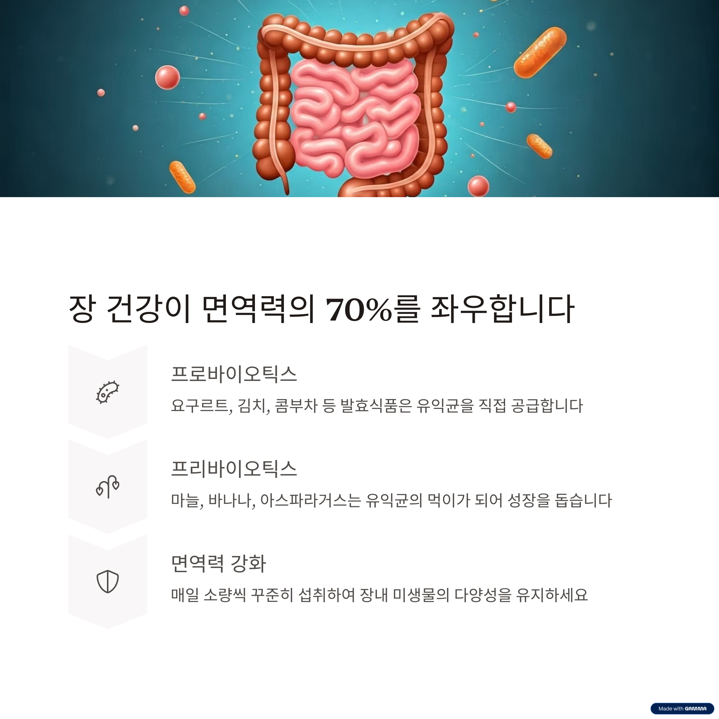 장 건강이 면역력을 좌우합니다!