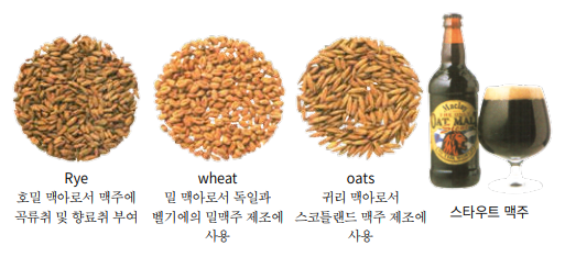 맥아의 종류와 맥주 맥아의 종류와 맥주
