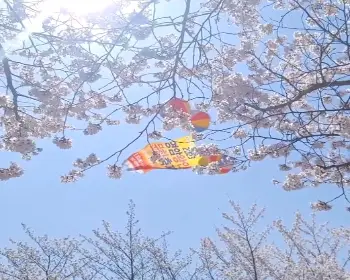 영암왕인문화축제_23