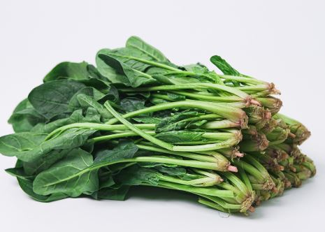 콜라겐 많은 음식