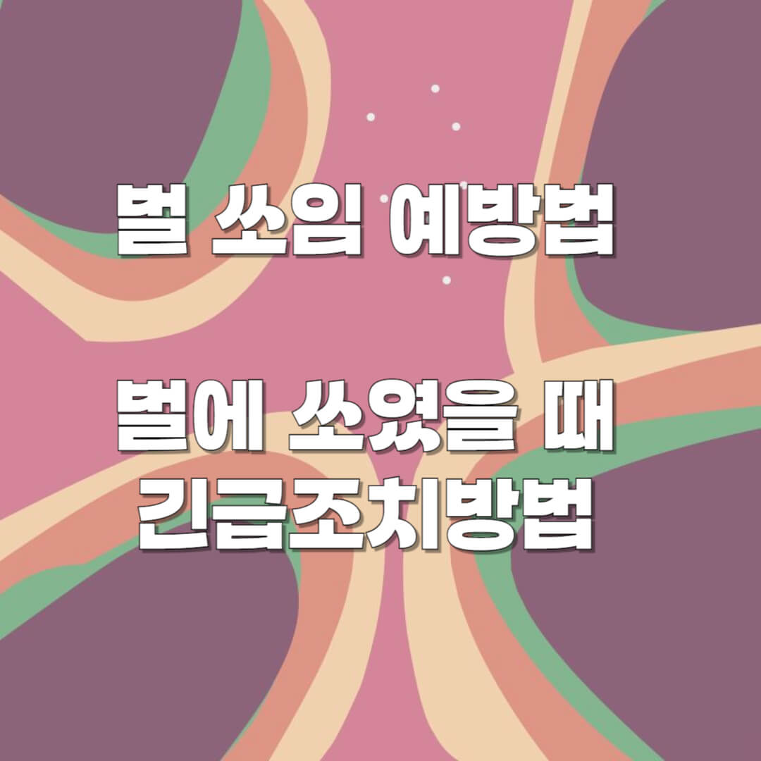 벌 쏘임 예방법과 긴급조치방법