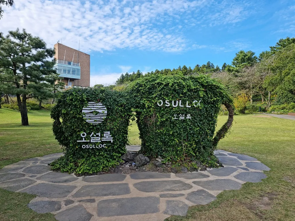 제주 오설록 티뮤지엄 관람 팁과 근처 카페 안내_2