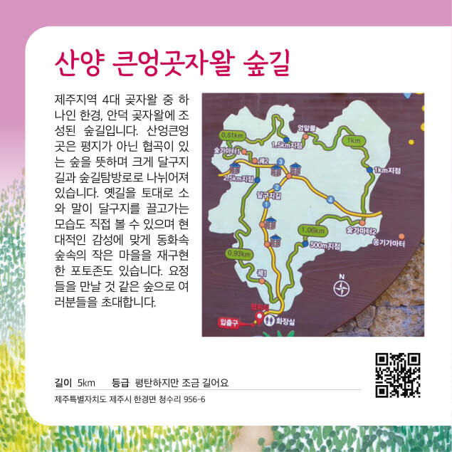 [명품숲길 50선] 산양 큰엉곶자왈숲길, 옛길과 숲이 살아 있는 5km 에코힐링