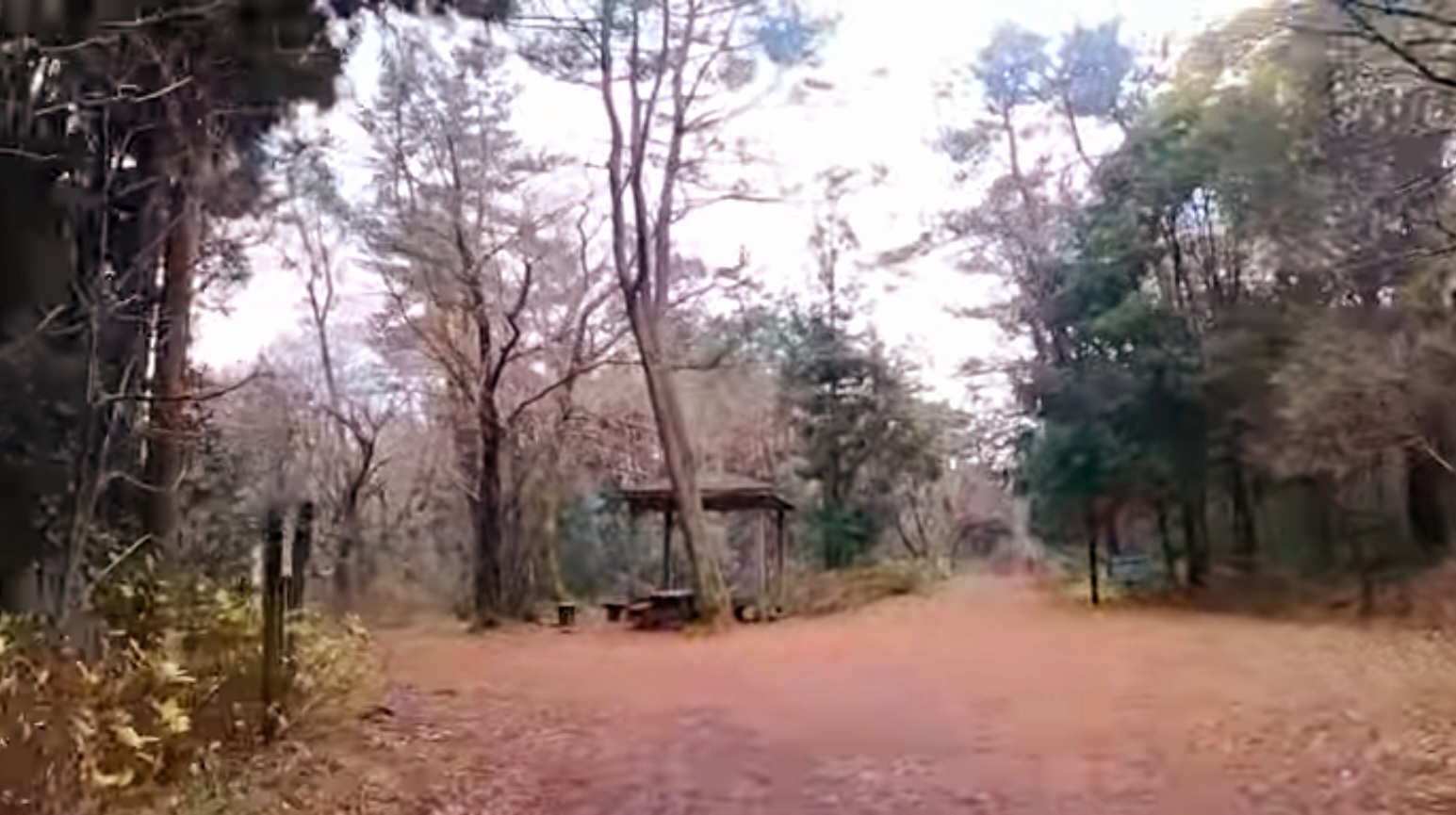 사려니숲길-중간지점