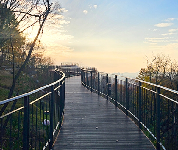 서울 단풍 명소 추천! 용마산 스카이워크 전망대 개장 소식