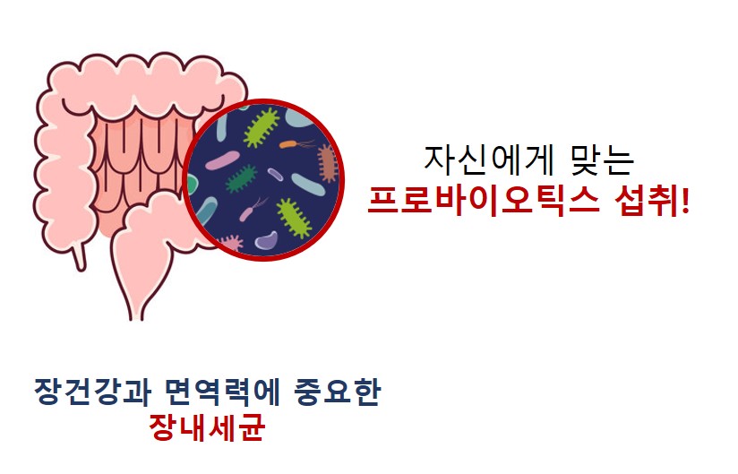 맞춤형유산균