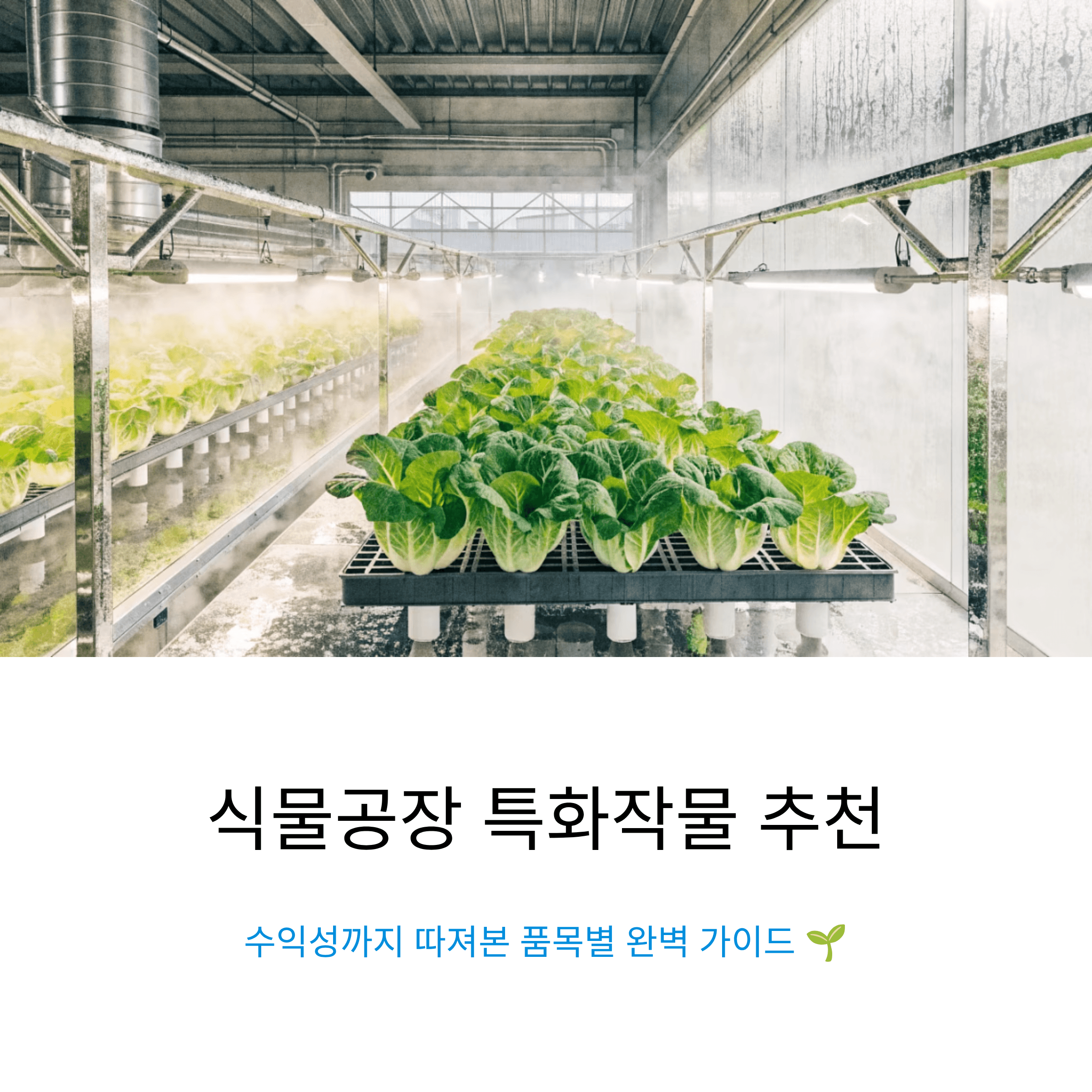 식물공장 창업과 운영을 고민하는 분들을 위한 특화작물 품목별 완벽 가이드