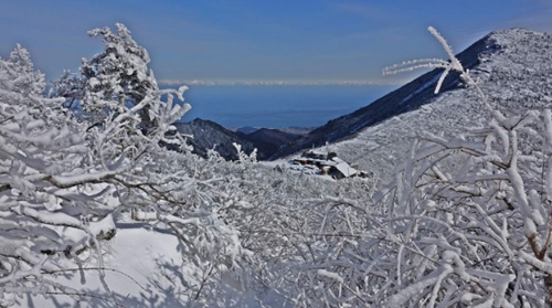 강원도 가볼만한곳 이미지 입니다.