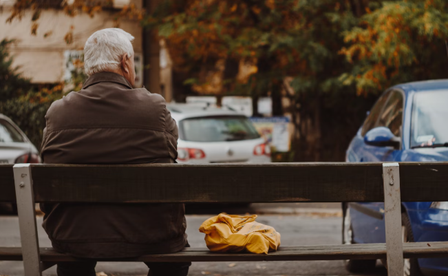 벤치에 앉아 있는 노인의 뒷모습 사진