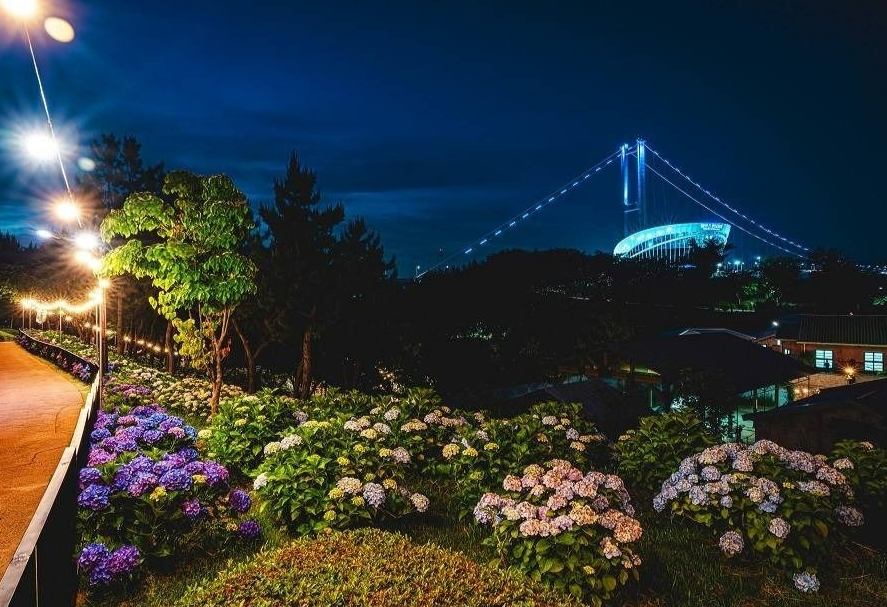 장생포수국페스티벌