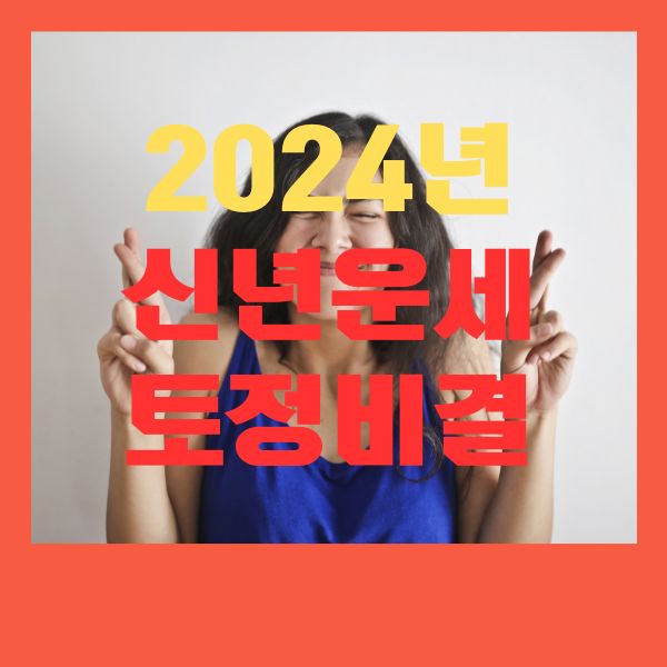 신년운세&#44;토정비결 무료