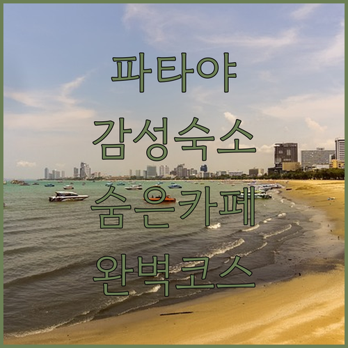 몬스터 아쿠아리움 주변 파타야 감성 ..