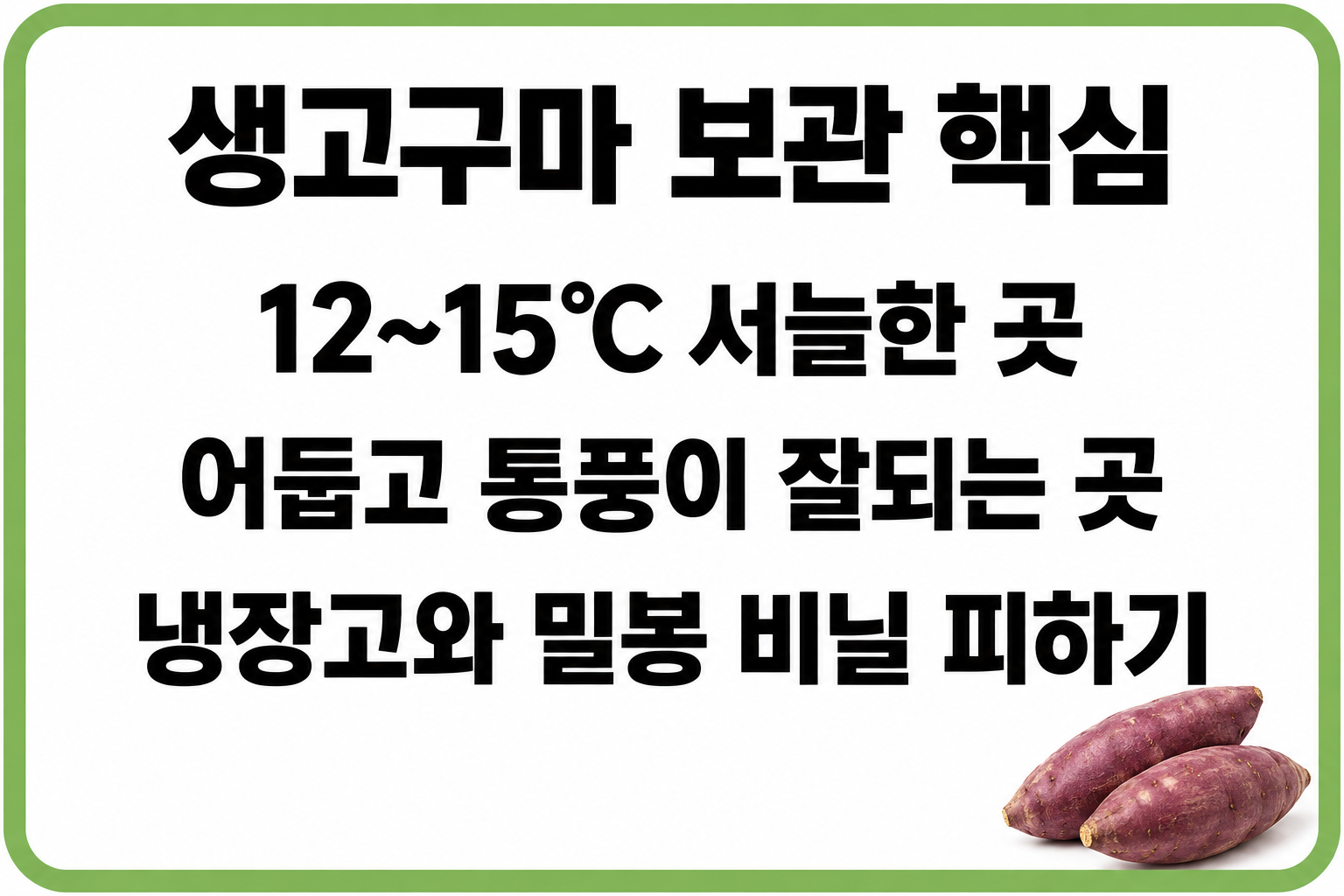 제철 고구마 고르는 법 보관 방법 정리