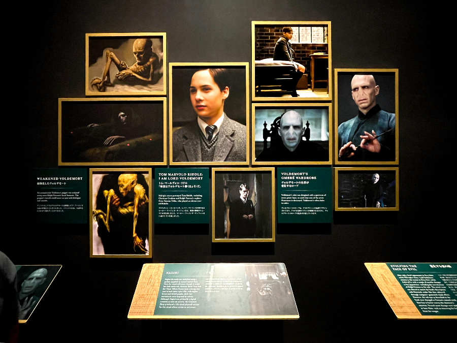 워너 브라더스 해리포터 스튜디오 - 호그와트 마법수업 볼드모트 경