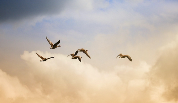 쓰기 싫은 날을 대하는 방식이 바뀐 기록
