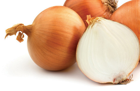 양파모습-양파가-반으로-잘라진-모습