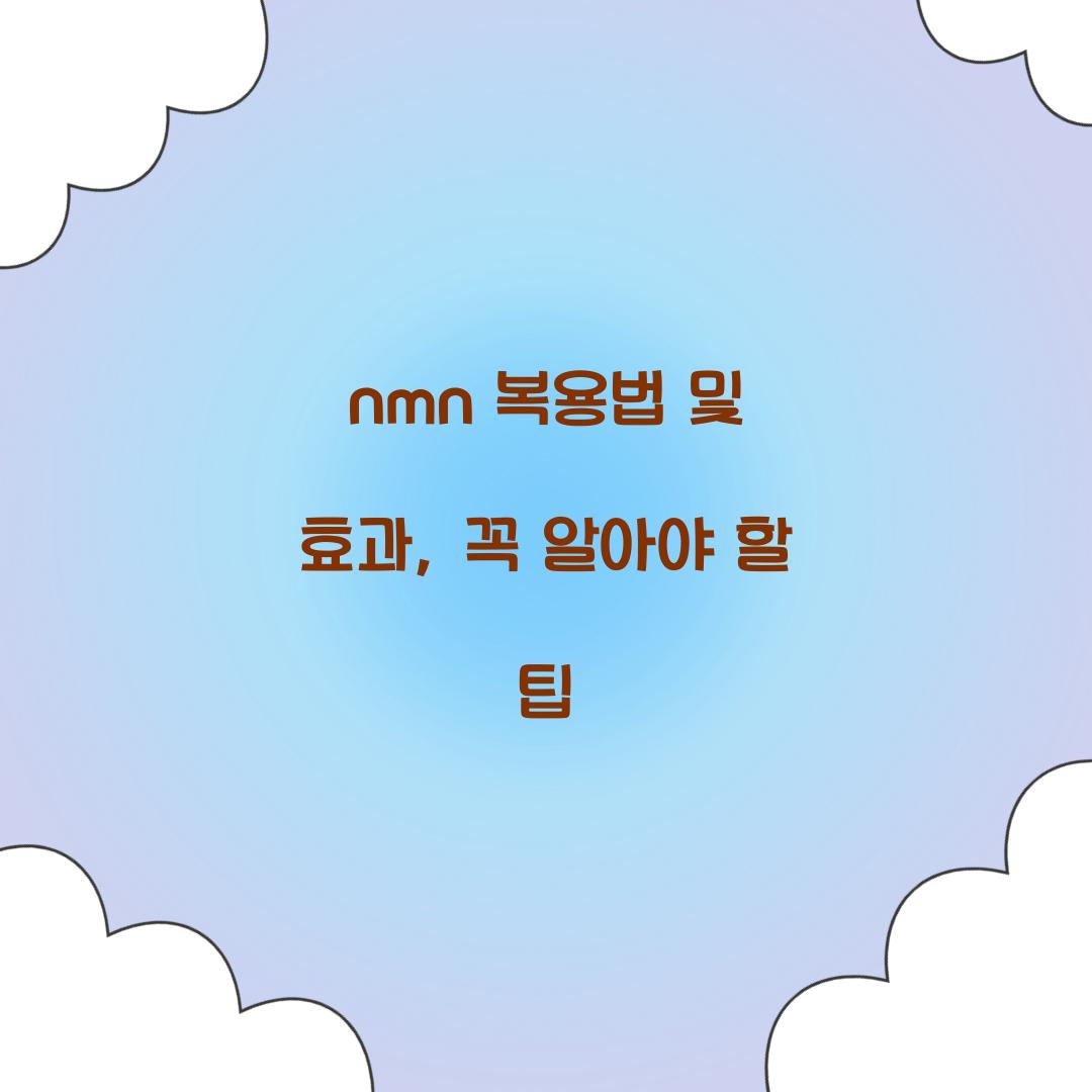 nmn 복용법