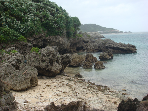 오키나와 여행 추천 오우섬