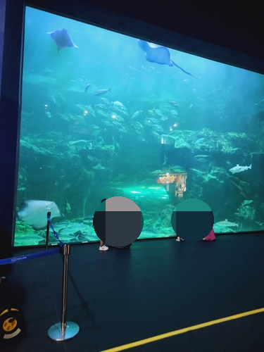 아쿠아플라넷 일산 할인 입장권 저렴한곳 + 다녀온 후기